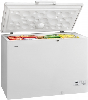 HAIER HCE319F